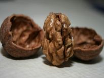  ഒരു വാള്‍നട്ട് മതി കരുത്തുള്ള ബീജവും പൗരുഷവും