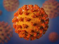  ജനിതക മാറ്റം വന്ന കൊറോണവൈറസ്; ഉടനെ വേണം ചികിത്സ