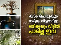 കടം പെരുകും ഒപ്പം ഐശ്വര്യക്കേടും; ഒരിക്കലും വീട്ടില്‍ പാടില്ല ഇവ 