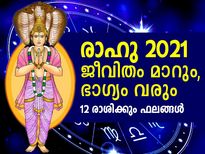 രാഹു 2021: ജീവിതം മാറും, ഭാഗ്യം വരും; ഓരോ രാശിക്കും ഫലം