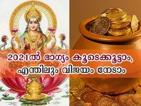 എന്തിലും വിജയം നേടാം, ഭാഗ്യം നിങ്ങളോടൊപ്പം; ഈ ഫെങ് ഷൂയി വിദ്യയിലൂടെ