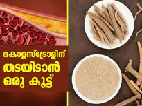 കൊളസ്‌ട്രോളിന് തടയിടാനൊരു കൂട്ട്; അതാണ് ഈ വിരുതന്‍