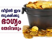 ഭാഗ്യം തേടിവരും, തീര്‍ച്ച; വീട്ടില്‍ ഇതൊക്കെ സൂക്ഷിക്കൂ