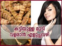നല്ല കട്ടിയുള്ള മുടി വളരാന്‍ എളുപ്പവഴി ഇതിലുണ്ട്
