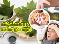 പപ്പായ ഇല ജ്യൂസ് കുടിച്ചാല്‍ ശരീരത്തിലെ മാറ്റം ഇത്‌