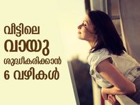 ശുദ്ധവായു നിറയും വീട്ടില്‍; ഇവ മാത്രം ചെയ്താല്‍ മതി