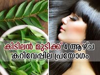 4 ആഴ്ച കറിവേപ്പില തലയിലെങ്കില്‍ കിടിലന്‍ മുടി