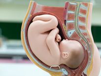 അകാല പ്രസവത്തിനുള്ള സാധ്യത കുറയ്ക്കുന്നതിന്