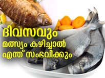 ദിവസവും മീന്‍ കഴിച്ചാല്‍ അത്ഭുത ഗുണങ്ങള്‍ ഇവയാണ്