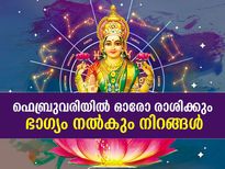 ഫെബ്രുവരിയില്‍ ഓരോ രാശിക്കും ഭാഗ്യം നല്‍കും നിറങ്ങള്‍