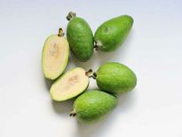 പൈനാപ്പിള്‍ പേരക്ക നിസ്സാരമല്ല; ആയുസ്സ് കൂട്ടുന്നു