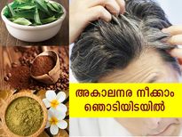 അകാലനര ഭയക്കേണ്ട; പരിഹാരം വീട്ടിലുണ്ട്