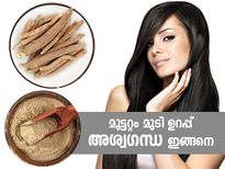 മുട്ടറ്റം മുടിക്ക് ഒരു കൂട്ടുണ്ട് അശ്വഗന്ധയില്‍