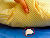 ഒരു വെളുത്തുള്ളി അല്ലി തലയിണക്കടിയില്‍ വെച്ച് ഉറങ്ങൂ