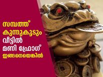 മണി ഫ്രോഗ് വീട്ടില്‍ ഇങ്ങനെയെങ്കില്‍ സമ്പത്ത് കുമിഞ്ഞുകൂടും