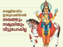 സമ്പത്തും സമൃദ്ധിയും ഫലം; വെള്ളിയാഴ്ച ഇങ്ങനെ ചെയ്യൂ