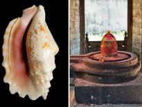 ഈ വസ്തുക്കള്‍ ഒരിക്കലും നിലത്ത് വയ്ക്കരുത്; വീട് മുടിയും