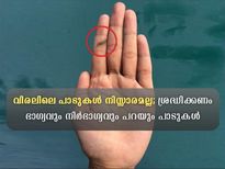  ശാസ്ത്രം പറയുന്നു വിരലിലെ പാടുകള്‍ ചില സൂചനകള്‍; പ്രത്യേകിച്ച് പുരുഷന്‍മാരില്‍