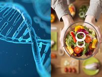 ഭക്ഷണം നോക്കണം തലാസീമിയ രോഗികള്‍; ഇല്ലെങ്കില്‍ പ്രശ്‌നം