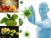 വെറും വയറ്റില്‍ ഇതെല്ലാം കഴിച്ചാല്‍ കിടിലന്‍ രോഗപ്രതിരോധശേഷി