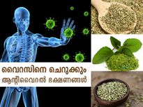 വൈറസിനെ ചെറുക്കും ഈ ആന്റിവൈറല്‍ ഭക്ഷണങ്ങള്‍