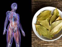 കറുവ ഇല കത്തിച്ച് പുക ശ്വസിച്ചാല്‍ ശരീരത്തില്‍ സംഭവിക്കുന്നത് അത്ഭുതം