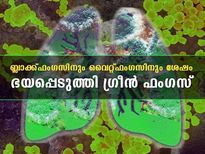 ബ്ലാക്ക്, യെല്ലോ, വൈറ്റ് ഫംഗസുകള്‍ക്ക് പുറമേ രാജ്യത്ത് ഗ്രീന്‍ ഫംഗസ്