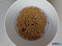  ഉലുവ വെള്ളം നിയന്ത്രിക്കും ഏറ്റവും കൂടിയ പ്രമേഹത്തേയും