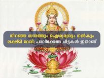  ഐശ്വര്യത്തിലേക്ക് വാതില്‍ തുറക്കാന്‍ ലക്ഷ്മി ദേവിക്ക് പാലിക്കേണ്ട ചിട്ടകള്‍