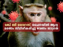 ചൈനയില്‍ മങ്കി ബി വൈറസ് മരണം; വെല്ലുവിളിയുമായി അടുത്ത മഹാമാരി