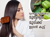 മുടി തഴച്ചുവളരാന്‍ ഒരു കൂട്ട്; പേരയില ഉപയോഗം ഇങ്ങനെ