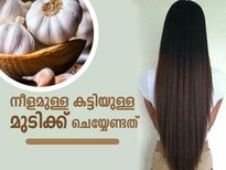 വെളുത്തുള്ളി ഉപയോഗം ഇങ്ങനെയെങ്കില്‍ നീളമുള്ള കട്ടിയുള്ള മുടി ഉറപ്പ്