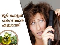 മുടി പൊട്ടുന്നതാണോ നിങ്ങളുടെ പ്രശ്‌നം? ഇതിലുണ്ട്‌ പ്രതിവിധി