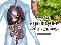 രാവിലെ രണ്ട് പുതിന ഇല കഴിച്ചാല്‍ ശരീരത്തില്‍ സംഭവിക്കുന്നത്