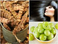 എളുപ്പത്തില്‍ മുടി കൊഴിച്ചില്‍ നീക്കാം; മുടി കട്ടിയോടെ വളരാന്‍ ചെയ്യേണ്ടത് 