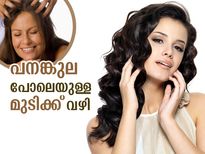 ആരോഗ്യമുള്ള പനങ്കുല പോലുള്ള മുടി വേണോ? വഴി ഇതാണ്‌