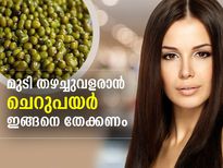 ചെറുപയര്‍ ഇങ്ങനെങ്കില്‍ മുടികൊഴിച്ചിലകലും മുടി തഴച്ചുവളരും