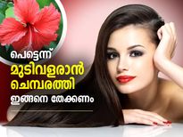മുടിവളര്‍ച്ച പെട്ടെന്ന്; ചെമ്പരത്തി പൂവും ഇലയും ഇങ്ങനെ തേക്കൂ