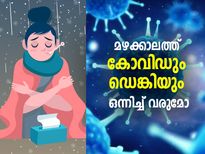 കോവിഡും ഡെങ്കിപ്പനിയും ഒന്നിച്ച് ബാധിക്കുമോ? മഴക്കാലത്തെ അപകടം