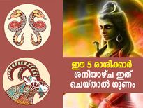 ഈ 5 രാശിക്കാര്‍ക്ക് ഗുരുപൂര്‍ണിമ പ്രധാനം; ശനിദോഷ പ്രതിവിധി ചെയ്യണം