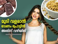 പ്രോട്ടീന്‍ കിട്ടിയാല്‍ മുടി കിടിലനായി വളരും; അതിനുള്ള വഴിയിത്