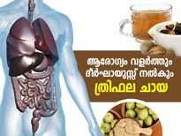രോഗപ്രതിരോധശേഷിയും ദീര്‍ഘായുസ്സും; ത്രിഫല ചായ ഒരു മാന്ത്രികക്കൂട്ട്