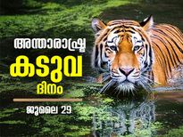 International Tiger Day: ലോകത്തിലെ 70% കടുവകളും ഇന്ത്യയില്‍; ഇന്ന് അന്താരാഷ്ട്ര കടുവ ദിനം