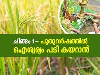 Malayalam New Year Chingam 1: ചിങ്ങം 1- വര്‍ഷം മുഴുവന്‍ ഐശ്വര്യം ഫലം നല്‍കും ഇതെല്ലാം