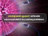 യോനീസ്രവം; ഓവുലേഷന് മുന്‍പും ശേഷവും ഇങ്ങനെയാവണം