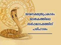 സര്‍പ്പദോഷം ജാതകത്തിലെങ്കില്‍ തലമുറ വാഴില്ല; നക്ഷത്രപ്രകാരം പരിഹാരം