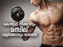 കൊഴുപ്പ് നീക്കാനും മസില് വളര്‍ത്താനും വേണ്ടത് ഈ മൈക്രോ ന്യൂട്രിയന്റ്‌സ്