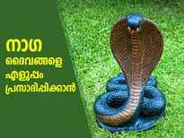Nag Panchami: നാഗദൈവങ്ങളെ എളുപ്പം പ്രസാദിപ്പിക്കാം, ദോഷമകറ്റാം; രാശിപ്രകാരം ആരാധന ഇങ്ങനെ