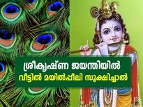ശ്രീകൃഷ്ണജയന്തി നാളില്‍ വീട്ടില്‍ മയില്‍പ്പീലി കൊണ്ടുവന്നാല്‍ ജീവിതം മാറും ഇങ്ങനെ