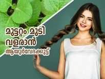ആയുര്‍വേദം പറയുന്ന ഈ കൂട്ടുകളിലുണ്ട് മുടി തഴച്ചുവളരാനുള്ള വഴി